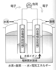 燃料電池
