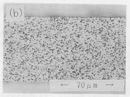 Electroless nickel-silicon carbide composite plating