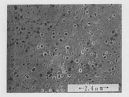 Electroless nickel-PTFE (Teflon) composite plating