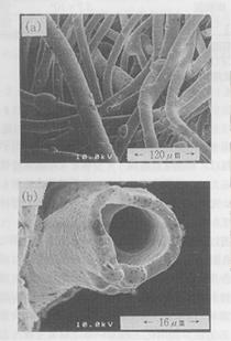 Nickel plating