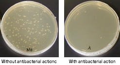 Bactericidal property